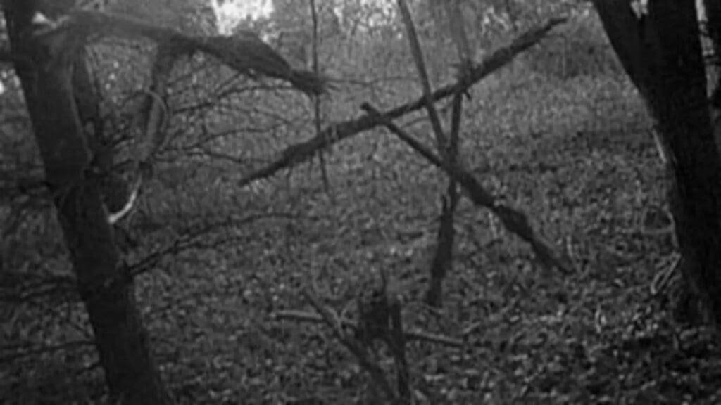 A shot from the horror movie classic, The Blair Witch Project.
